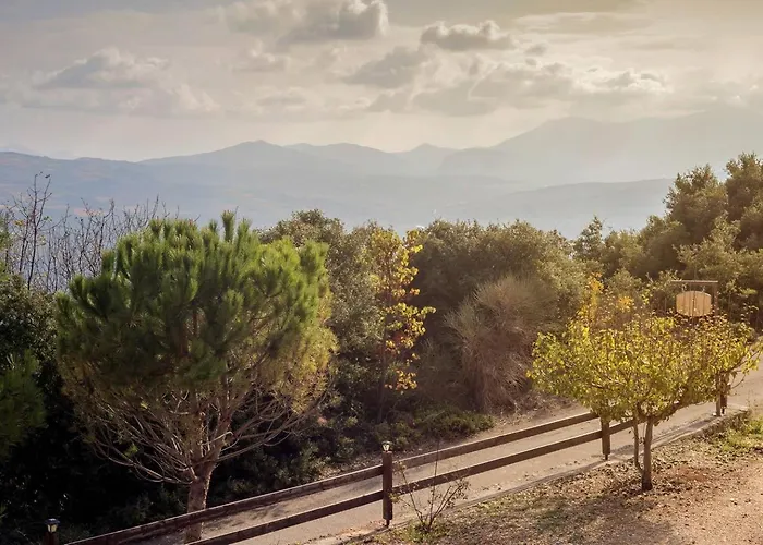 Alpesi faház Regina